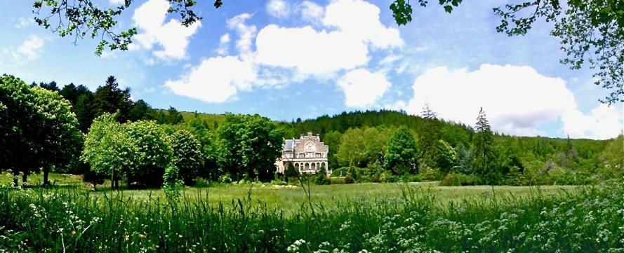 Bed and Breakfast Chateau Du Mazel Alzon Exterior foto